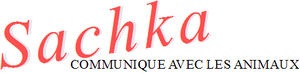 Sachka.com