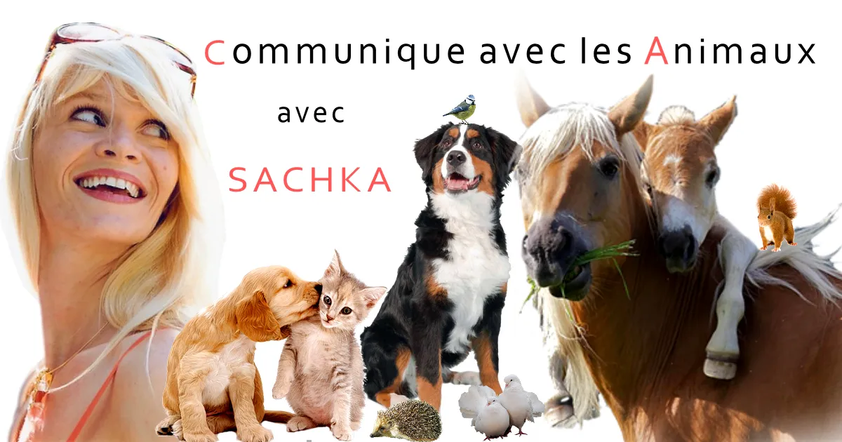 Communiquer avec les Animaux avec Sachka